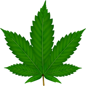 Ohio medical marijuana program
